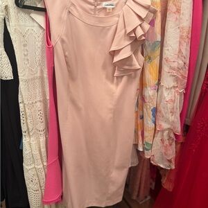 Calvin Klein Asymmetrical Blush Dress